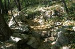 01 Il sentiero per il monte Linzone
